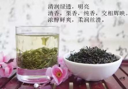 明前女兒綠茶150g